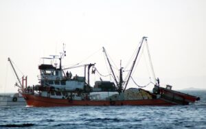 baliktekne_1-300x188 baliktekne_1