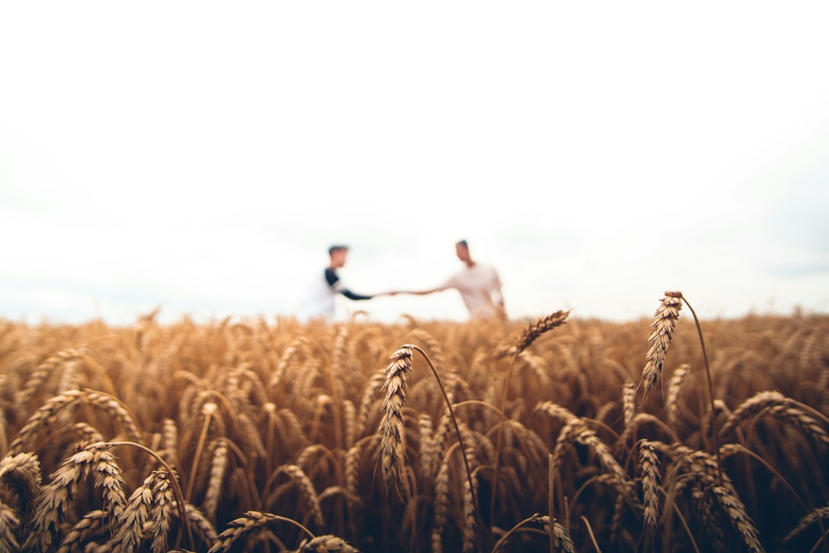 Grain and Agricultural Cargo Quality & Quantity Inspection (FOSFA/GAFTA Standards) Grain and Agricultural Cargo Quality & Quantity Inspection (FOSFA/GAFTA Standards)